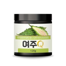 초담식품 여주Q 분말, 120g, 1개