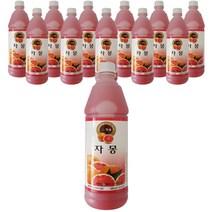 청솔 자몽 음료베이스, 835ml, 12개