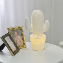 도도한 LED 취침 무드등, 사하라사막 선인장