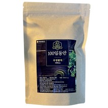 100일동안 삼각티백 우엉팥차, 1.2g, 100개