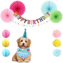 페이퍼 금박 강아지 생일파티 세트, 02 패턴영문, 1세트