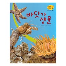 세밀화 자연관찰 37 바닷가 생물 물에 사는 동물, 한국헤밍웨이