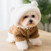 강아지옷플리스 구매 관련 사이트 모음