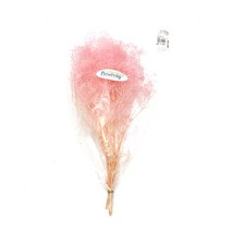 프리저브드 소프트 미니 안개꽃다발, 핑크