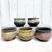 다육이 화분 국민사랑 5종 세트, 혼합색상