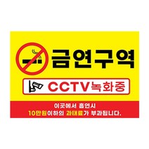 피노마켓 금연구역 안내판 디자인 2 대형 45 x 30 cm, 금연구역 CCTV 녹화중, 1개