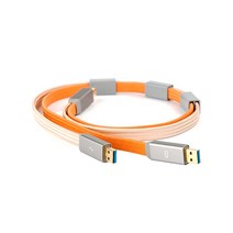 iFiaudio 전원분리형 Hi end USB 케이블 1.5m, 주황, Gemini3.0