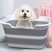 라포유 반려동물 접이식 욕조, 혼합색상, 1개