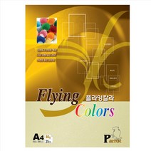 삼원특수지 플라잉 칼라 복사용지 병아리색 80g P04, 500개, A4