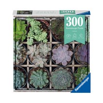 R129676 푸르른 다육이 300피스, 혼합색상