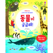 Usborne 논리력 쑥쑥! 영재 플랩북: 동물이 궁금해!, 어스본코리아, 케이티 데이니스
