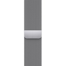 Apple 정품 애플워치 밀레니즈 루프, 42/44/45mm, Regular, 그래파이트