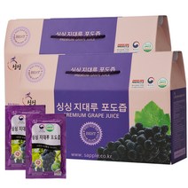 싱싱 지대루 국내산 포도즙 30p, 3000ml, 2개