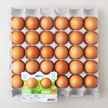 계란계란계란유정란 가성비 좋은 제품 중에서 다양한 선택지를 확인하세요