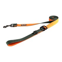 분독 반려동물 플레이리쉬 320 S, 1개, 오렌지카키