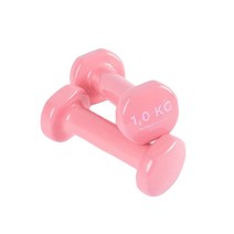 데카트론 PVC 덤벨 트윈팩 핑크, 1kg, 2개