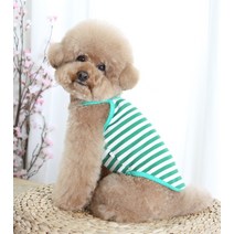 에이미러브즈펫 반려동물 하트 끈나시 티셔츠, 그린