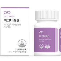 피토틱스 마그네슘B 36g, 60정, 1개