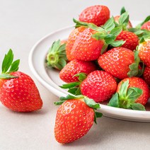 산지직송 과일진심 산청 GAP 인증 설향딸기, 500g, 1개