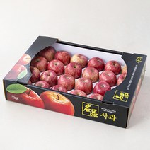 맛뜨레 Sweet Ugly 빨간사과, 5kg(11~28입), 1박스