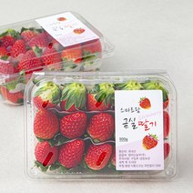 산지직송 스마트팜 김제 금실딸기 상, 500g, 2개
