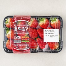 부성 홍희 딸기, 550g, 1팩