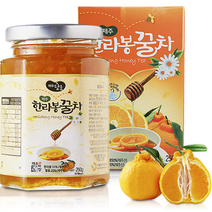 제주담움 한라봉꿀차, 250g, 1개