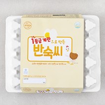 양지뜨레 1등급 반숙란, 20구, 1개