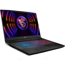 MSI 2023 펄스 17, 티타늄 그레이, 코어i9, 1024GB, 16GB, Free DOS, PULSE 17 B13VFK-i9 QHD