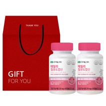 한미헬스케어 데일리 철분 & 엽산 선물세트, 90정, 2개