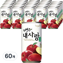 자연은 내사랑 사과 과일주스 180ml, 60개