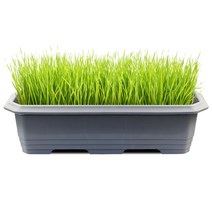직사각 대형 클래식 660 화분, 다크 그레이