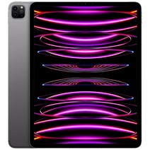 Apple 정품 2022 아이패드 프로 12.9 6세대 M2칩, 스페이스그레이, 1TB, Wi-Fi+Cellular