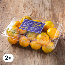 중문농협 당도선별 하우스 감귤, 1.4kg(S~L), 2팩