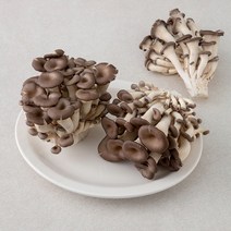 국내산 친환경 느타리버섯, 500g, 1개