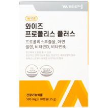 비타민마을 와이즈 프로폴리스 플러스 15g, 30정, 1개