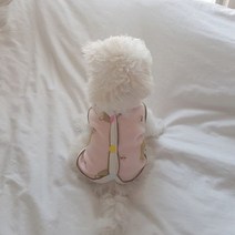그루밍독 반려동물 실내복 곰돌이 조끼, 웜핑크