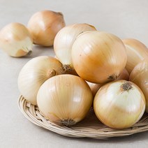 국내산 양파, 3kg, 1봉