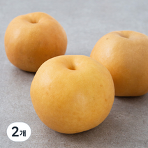 천안 당도선별 왕배, 1.8kg, 2개