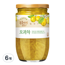 복음자리 모과차, 480g, 1개입, 6개