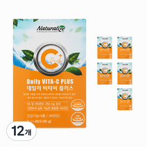 네추럴라이즈 데일리 비타씨 플러스 20p, 40g, 12개