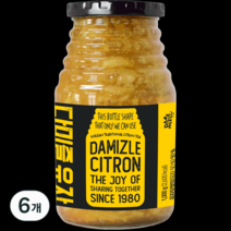 다미즐 유자차, 1000g, 1개입, 6개
