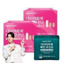 뉴트리디데이 다이어트에 빠진 유산균 14포, 21g, 2개