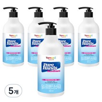 탐사 퓨어 핸즈 에탄올 70% 손소독제, 500ml, 5개