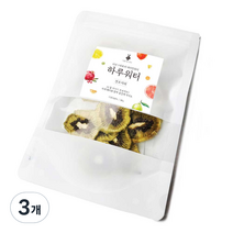 아름다운정성 하루워터 키위칩, 3개, 50g