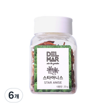 딜리셔스마켓 스타아니스홀 천연향신료, 20g, 6개