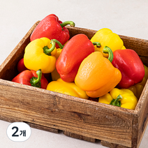 못난이 파프리카, 2kg, 2박스
