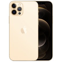 Apple 아이폰 12 Pro 자급제, 골드, MGMM3KH/A