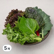 곰곰 미니모둠쌈, 200g, 5개