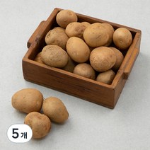 밀양 조림감자(햇), 1kg, 5개